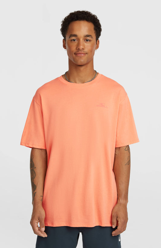 O'NEILL Small Logo majica kratki rukav