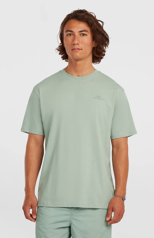 O'NEILL Small Logo majica kratki rukav